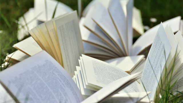 Litteratur.